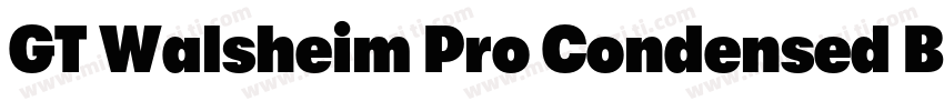 GT Walsheim Pro Condensed Bold字体转换